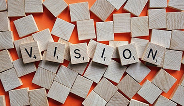 Vision